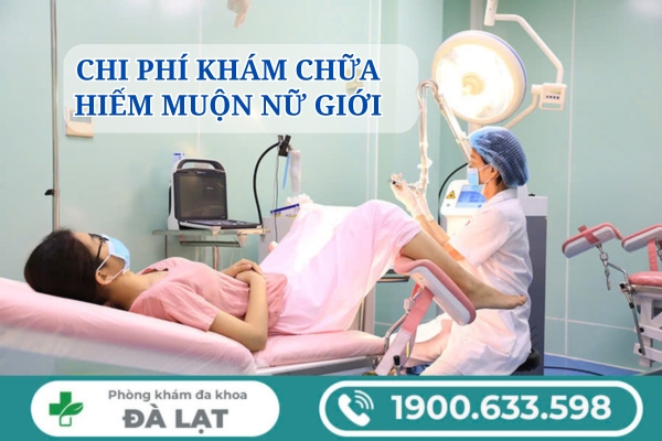 Chi Phí Khám Chữa Hiếm Muộn Ở Nữ Giới Hiện Nay 